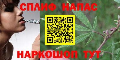 ALPHA PVP Заволжье